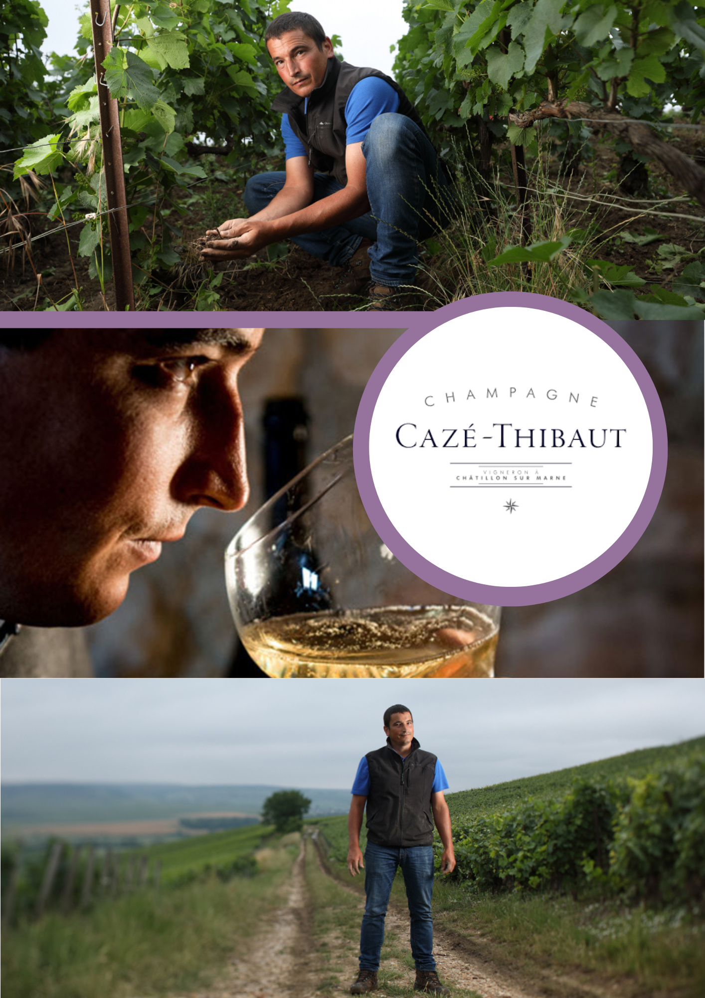 Caze-thibaut collage