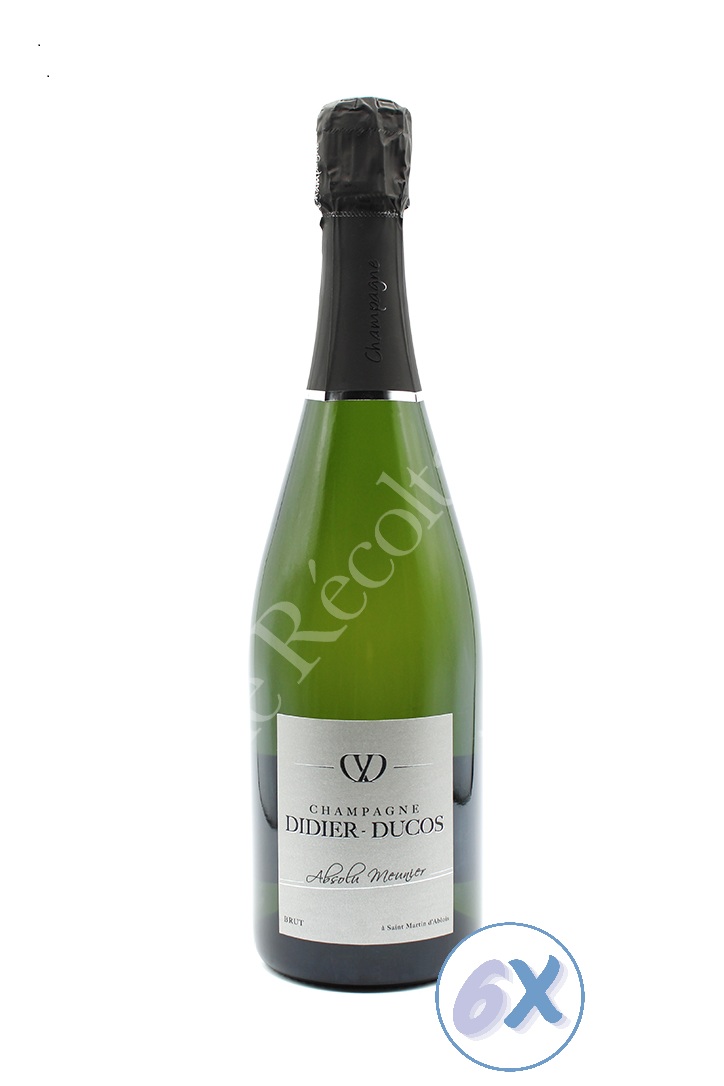 Absolu Meunier Brut (Pack6)
